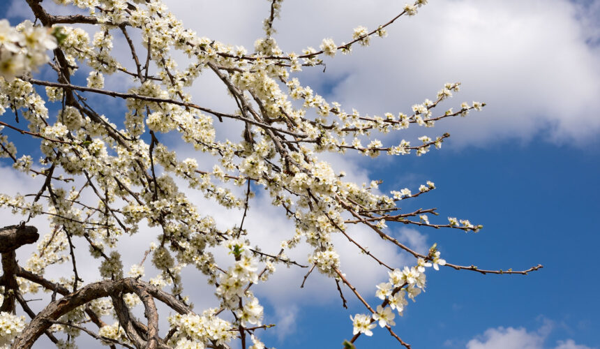 Siamo già tutto ciò che stiamo cercando