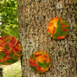 La creatività della Terra La creatività della Terra